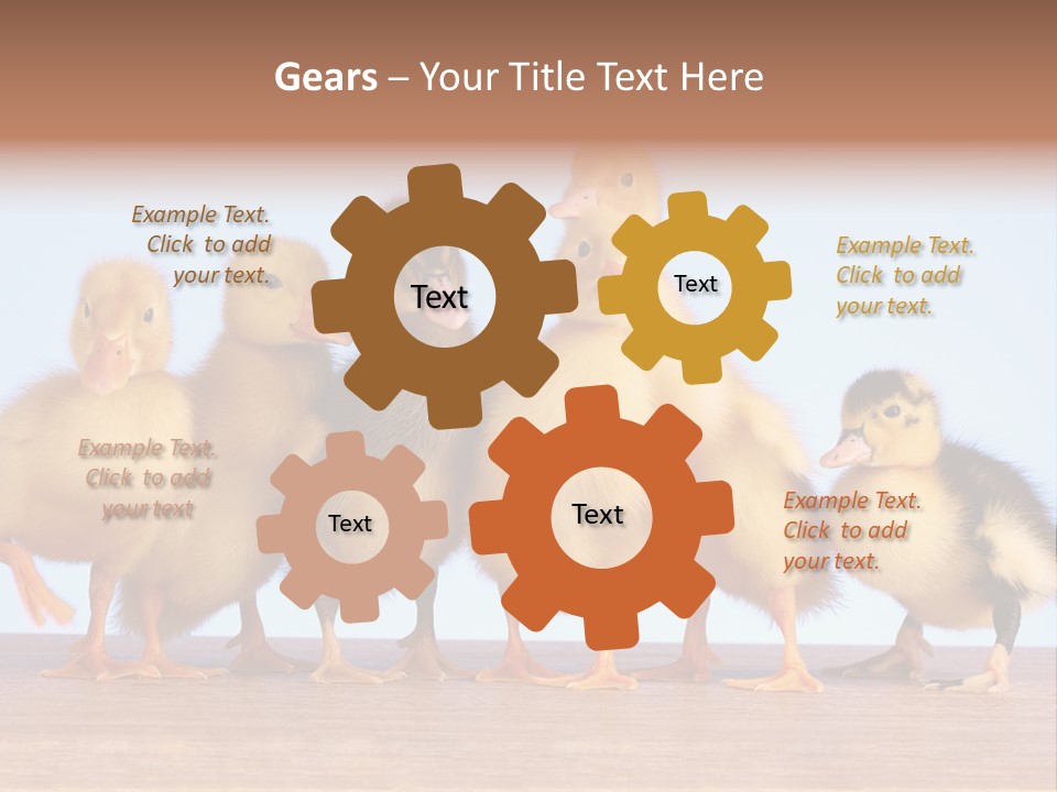 Egg Detail Few PowerPoint Template