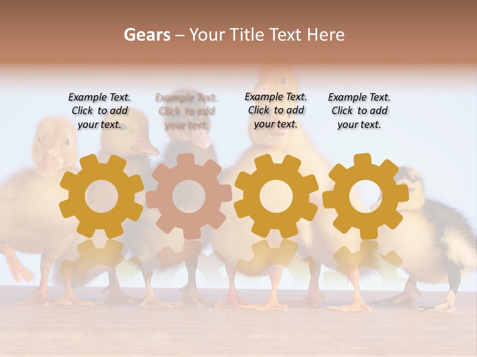 Egg Detail Few PowerPoint Template