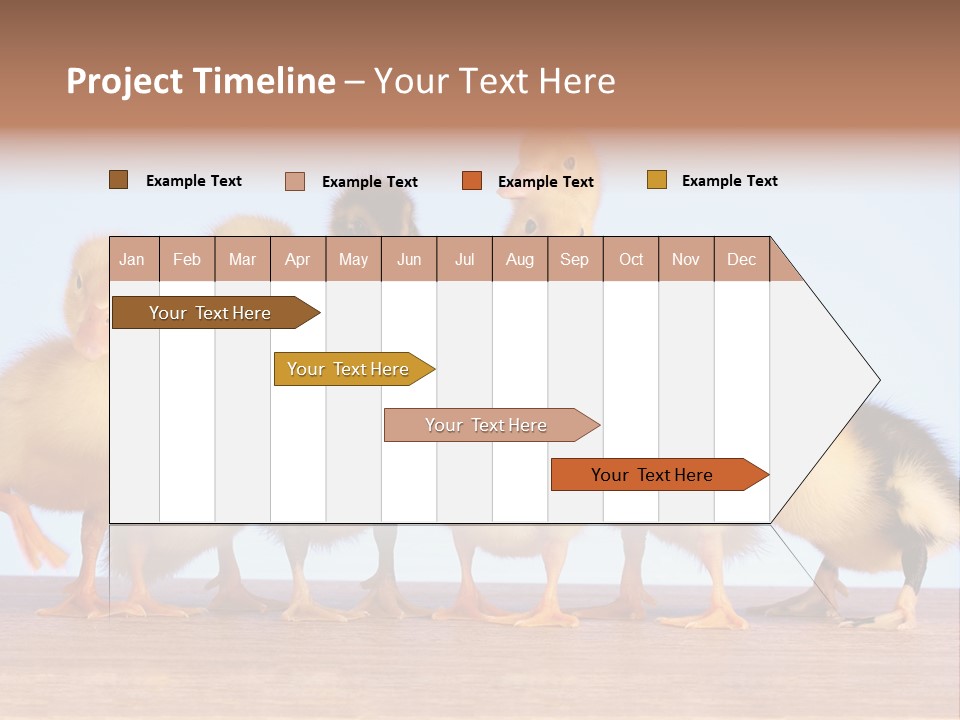 Egg Detail Few PowerPoint Template