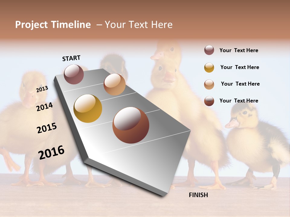 Egg Detail Few PowerPoint Template