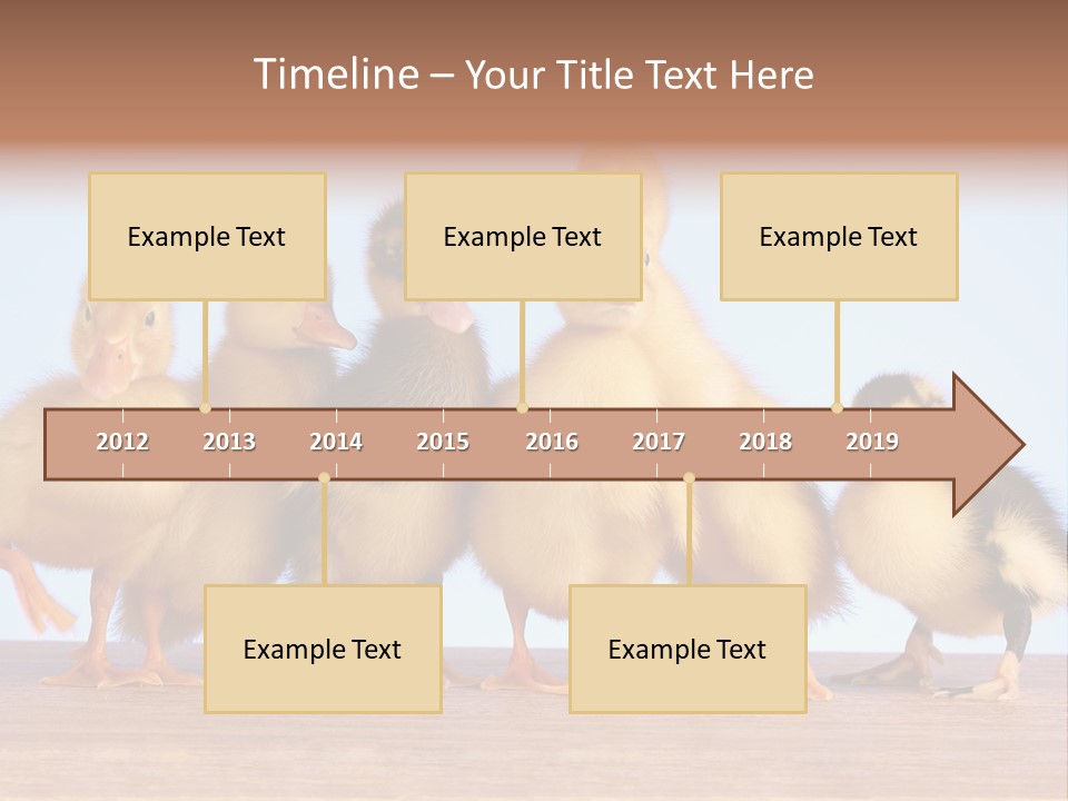 Egg Detail Few PowerPoint Template