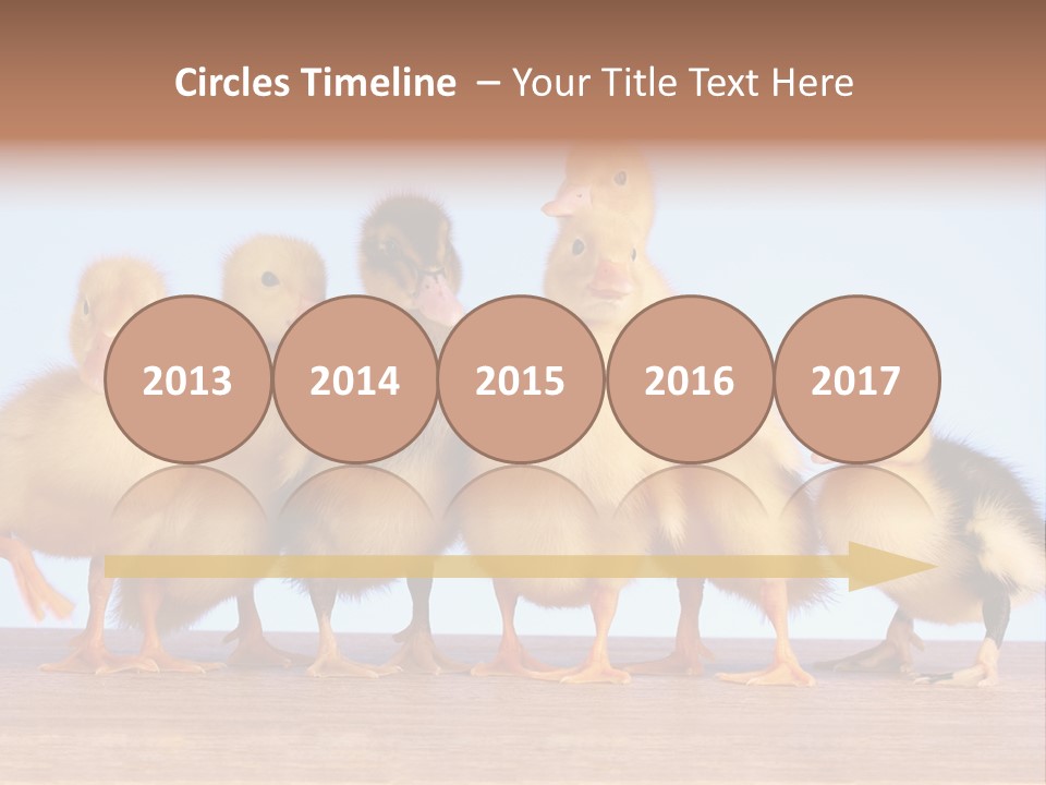 Egg Detail Few PowerPoint Template