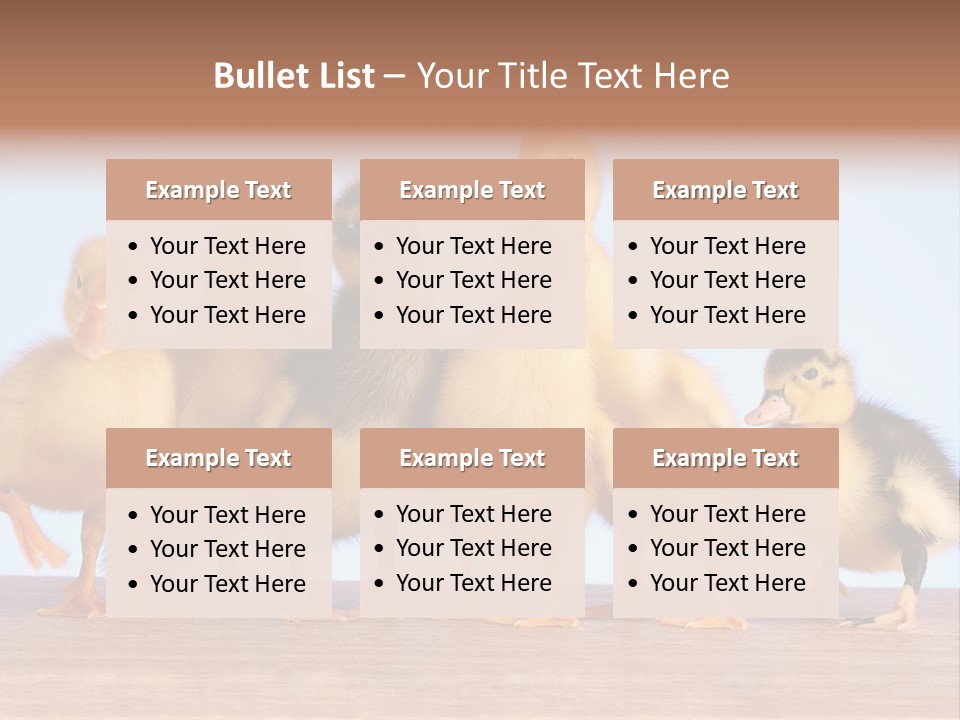 Egg Detail Few PowerPoint Template