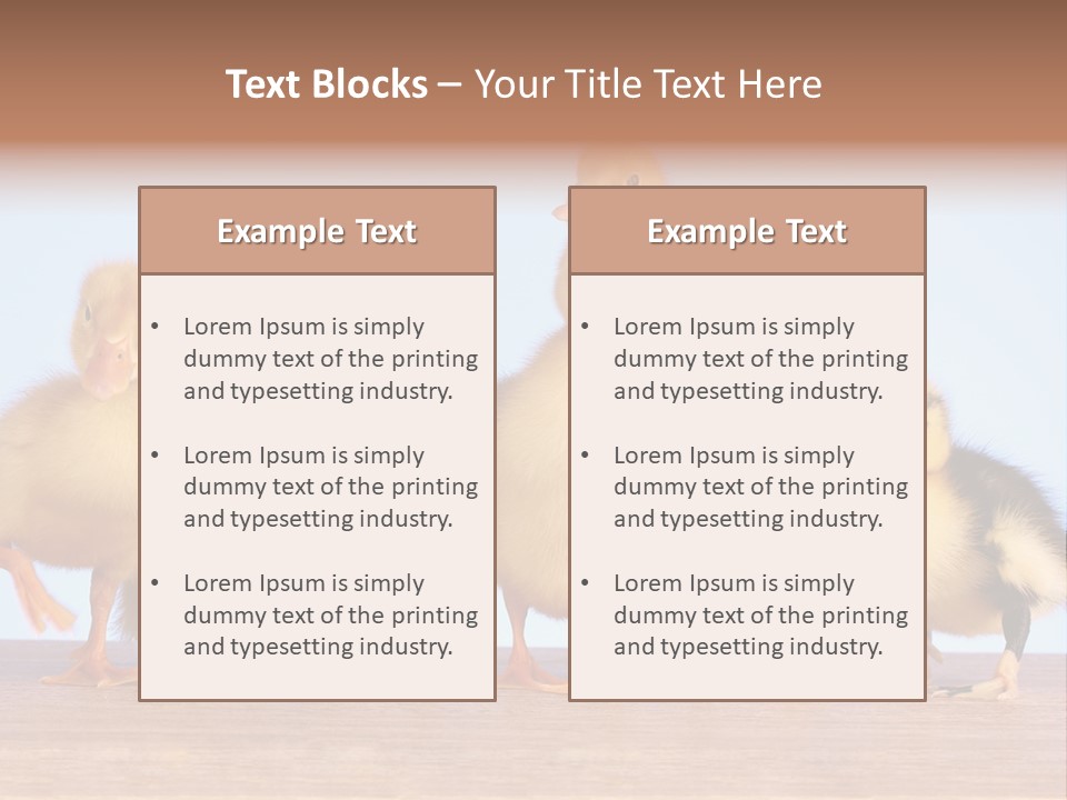 Egg Detail Few PowerPoint Template