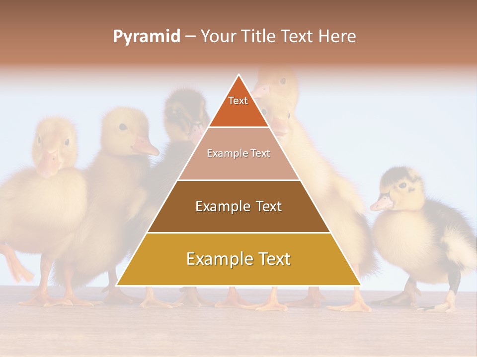 Egg Detail Few PowerPoint Template