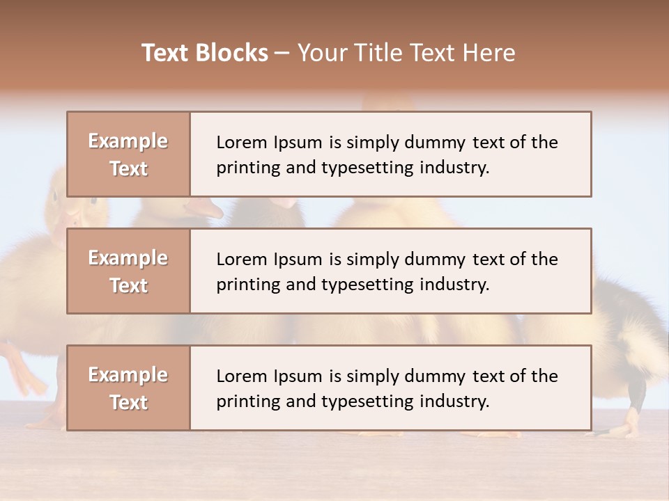 Egg Detail Few PowerPoint Template