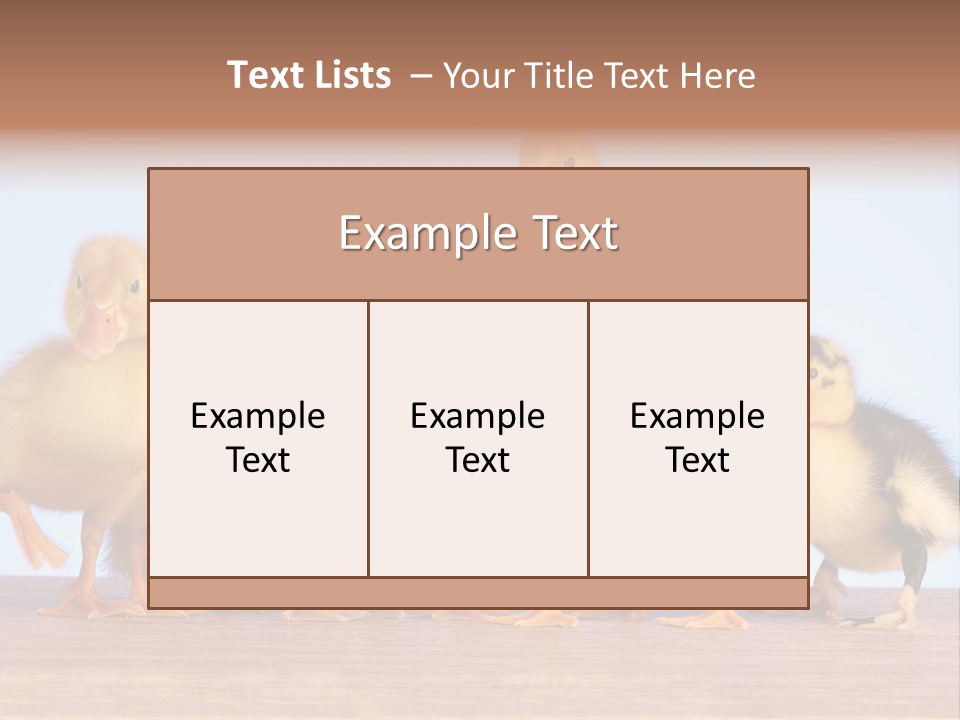 Egg Detail Few PowerPoint Template