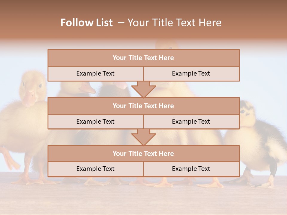 Egg Detail Few PowerPoint Template