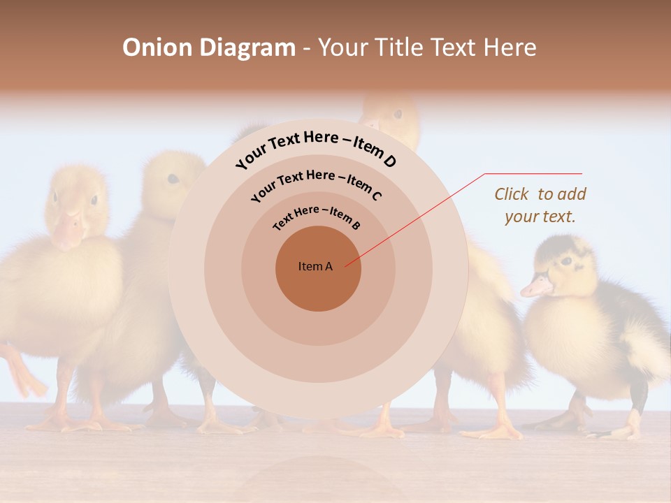 Egg Detail Few PowerPoint Template