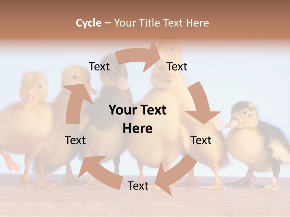 Egg Detail Few PowerPoint Template