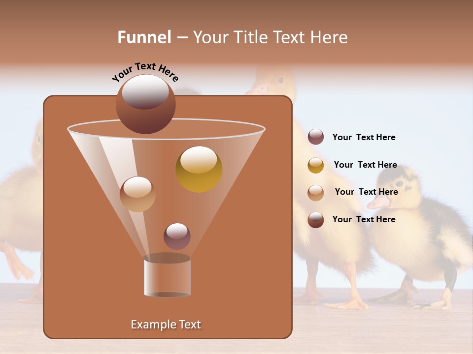 Egg Detail Few PowerPoint Template