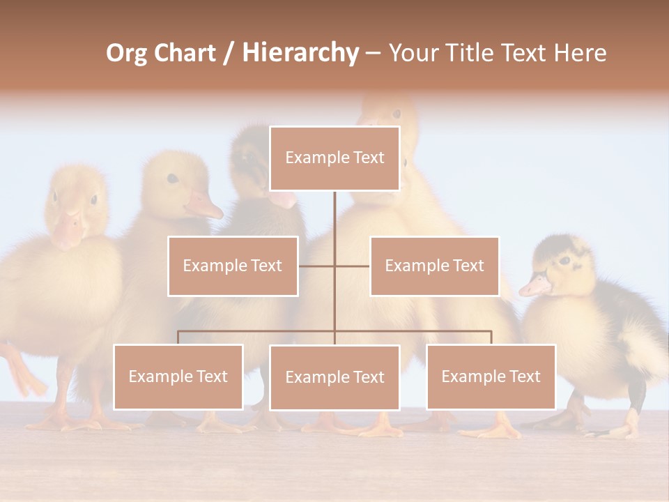Egg Detail Few PowerPoint Template