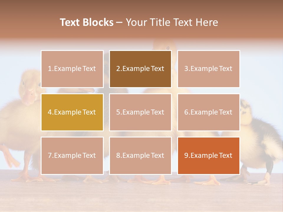 Egg Detail Few PowerPoint Template