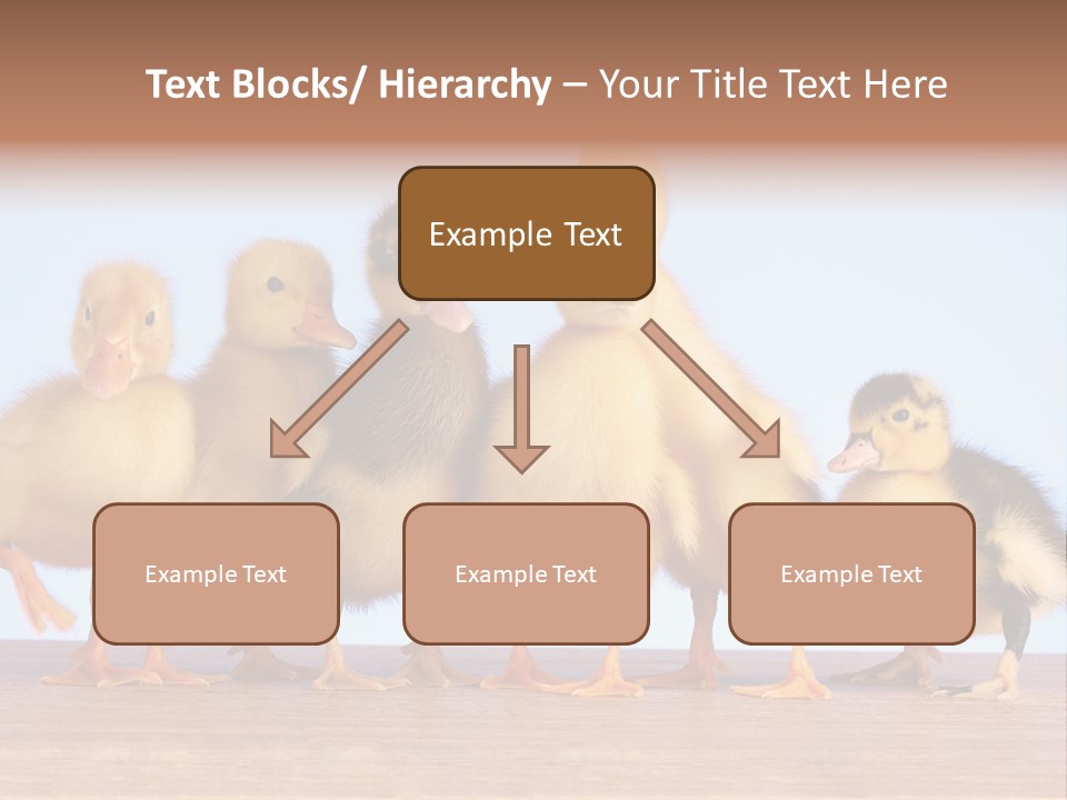 Egg Detail Few PowerPoint Template