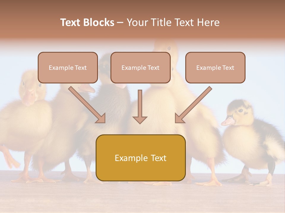Egg Detail Few PowerPoint Template