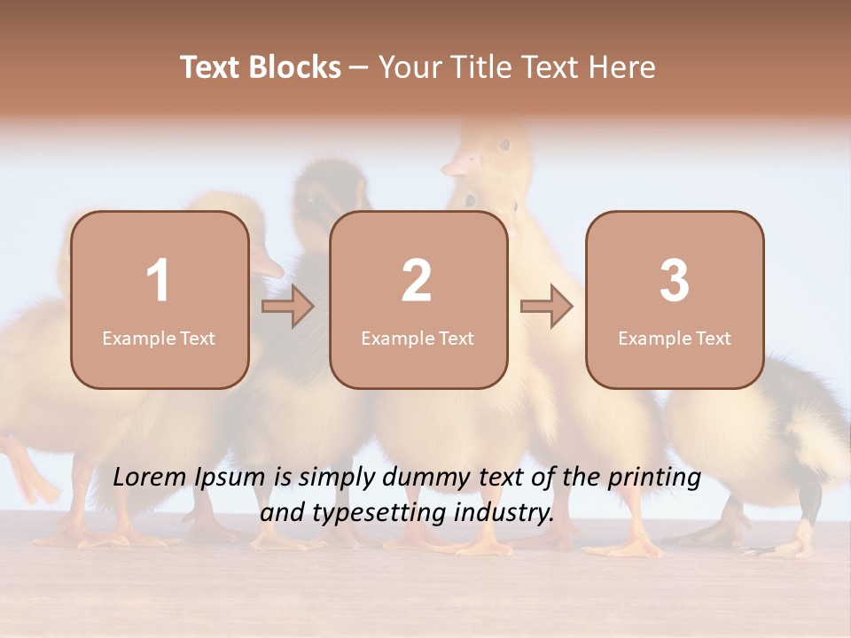Egg Detail Few PowerPoint Template