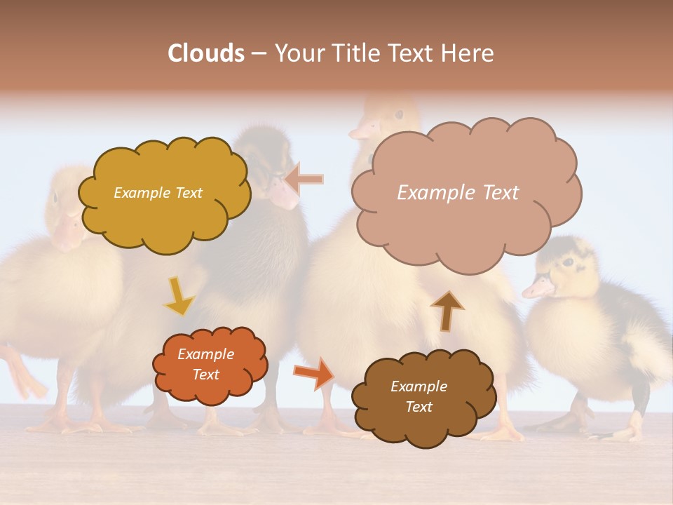 Egg Detail Few PowerPoint Template