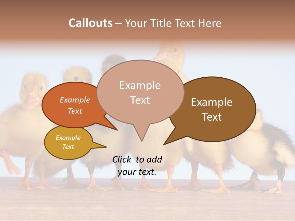 Egg Detail Few PowerPoint Template