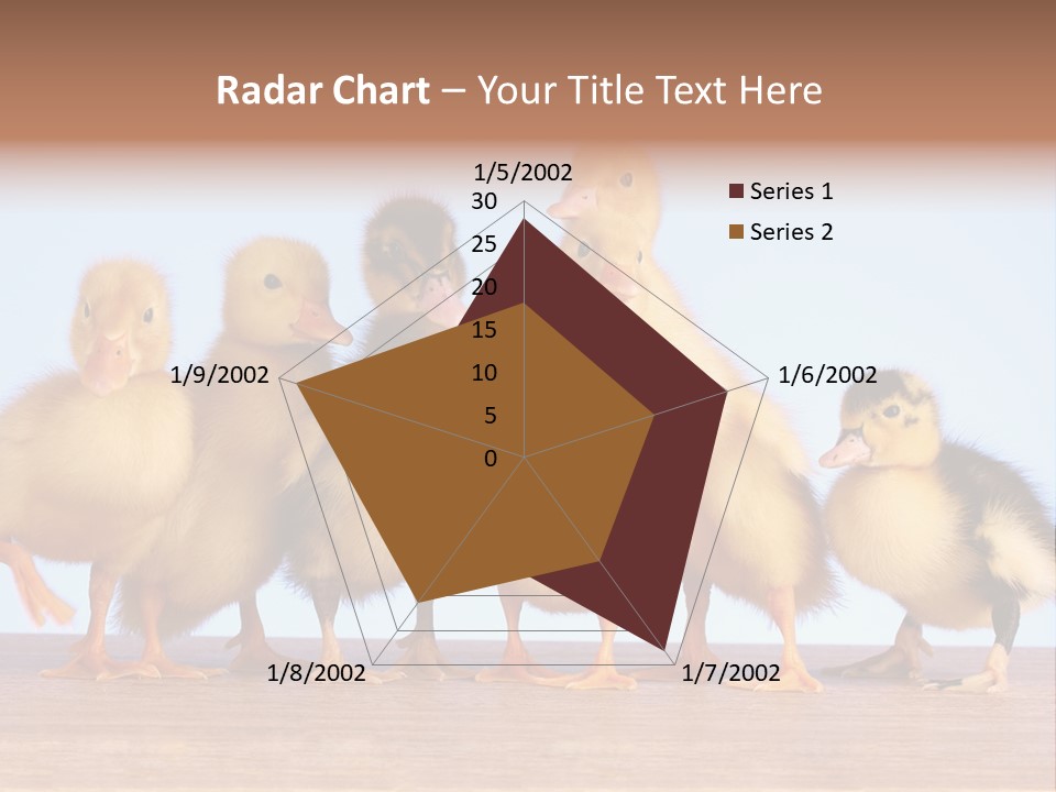 Egg Detail Few PowerPoint Template
