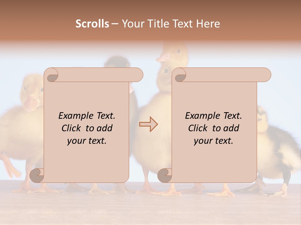 Egg Detail Few PowerPoint Template