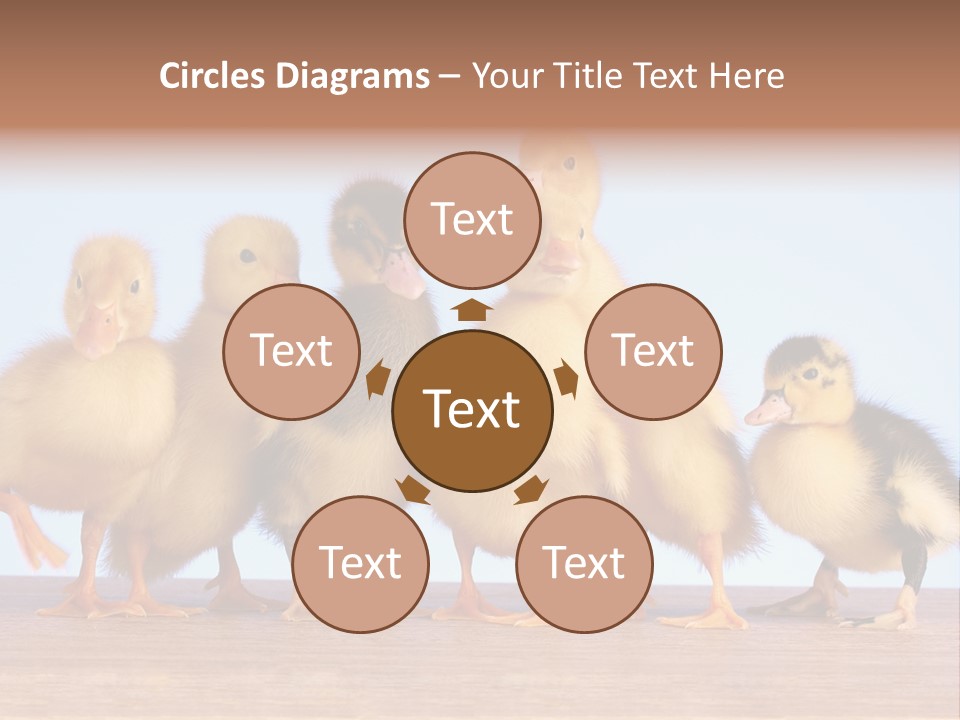 Egg Detail Few PowerPoint Template