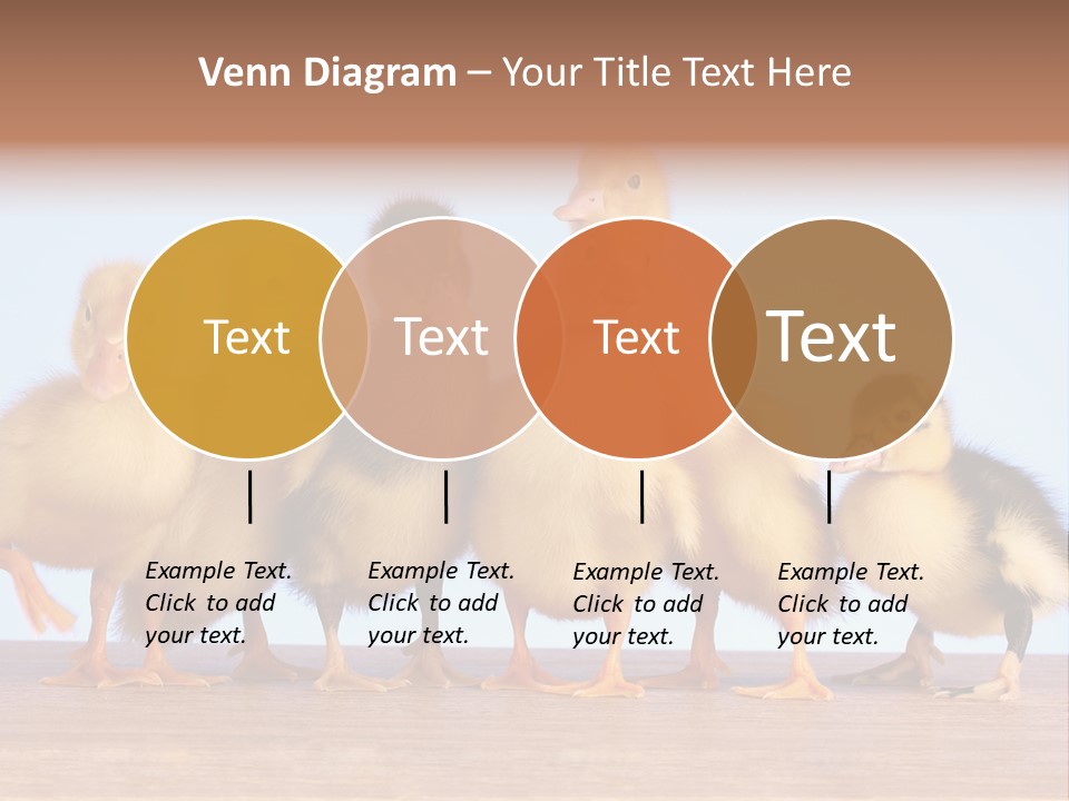 Egg Detail Few PowerPoint Template