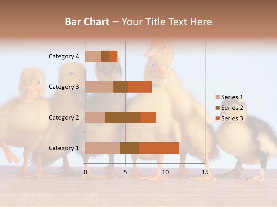 Egg Detail Few PowerPoint Template