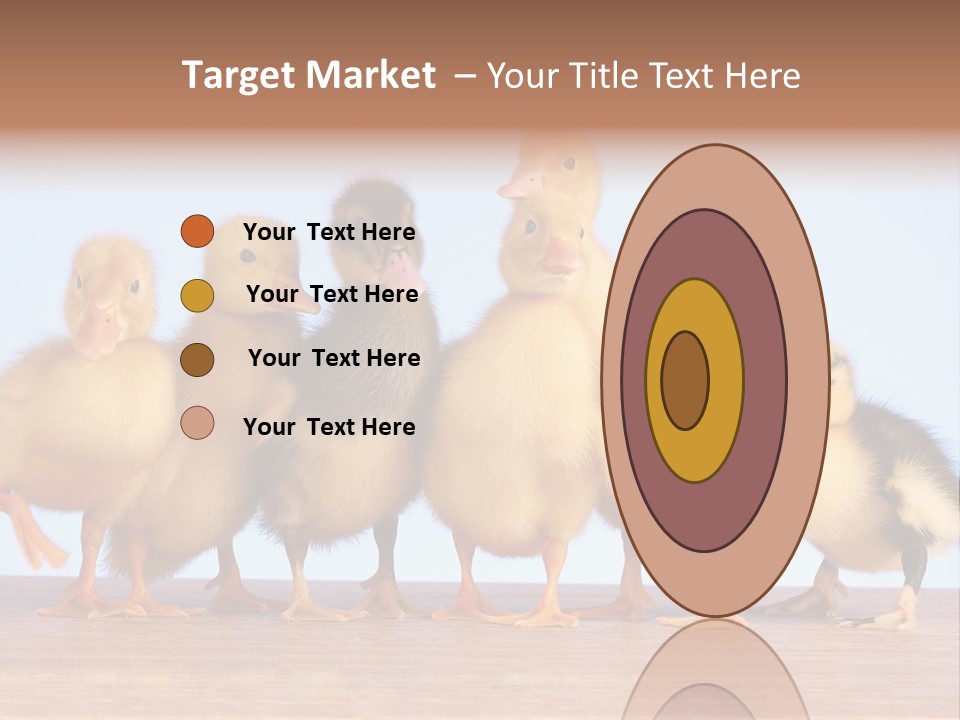 Egg Detail Few PowerPoint Template