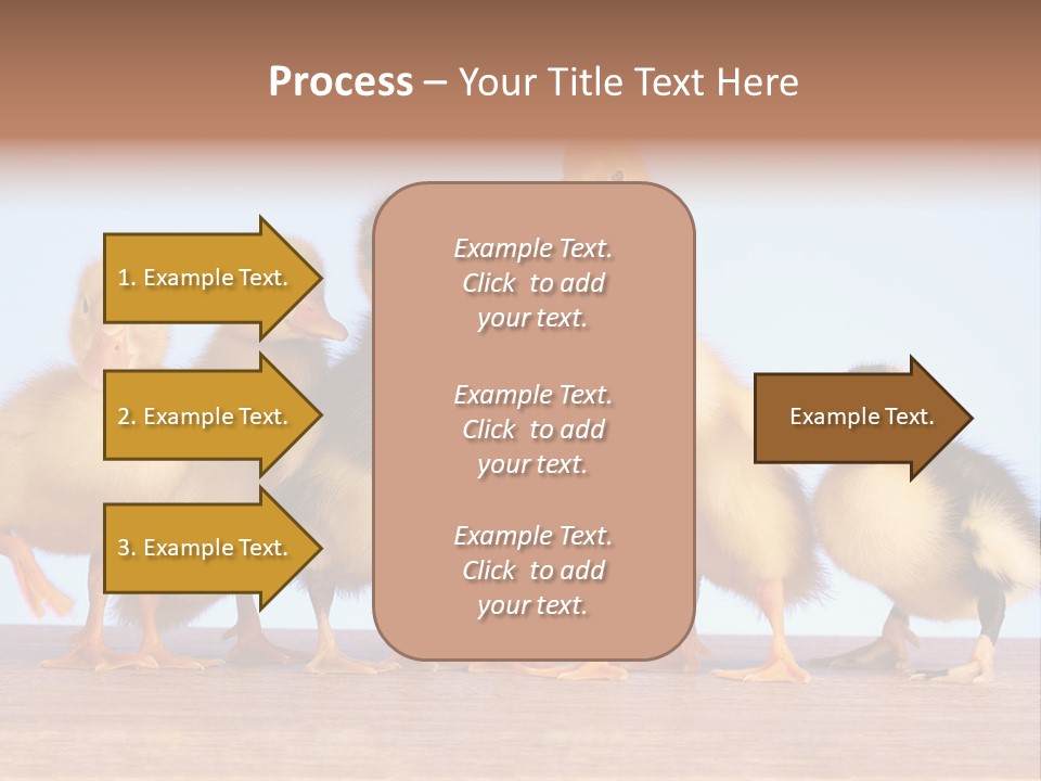 Egg Detail Few PowerPoint Template