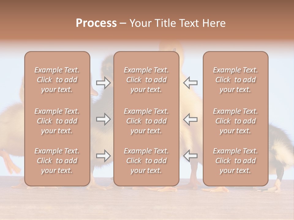 Egg Detail Few PowerPoint Template