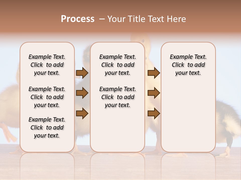 Egg Detail Few PowerPoint Template
