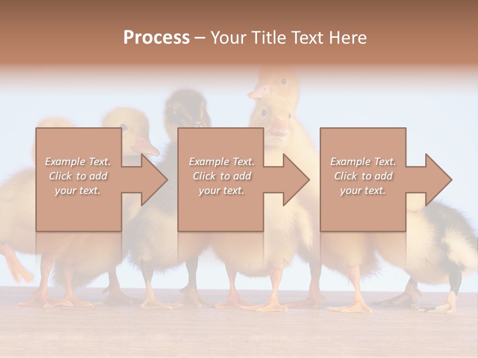 Egg Detail Few PowerPoint Template