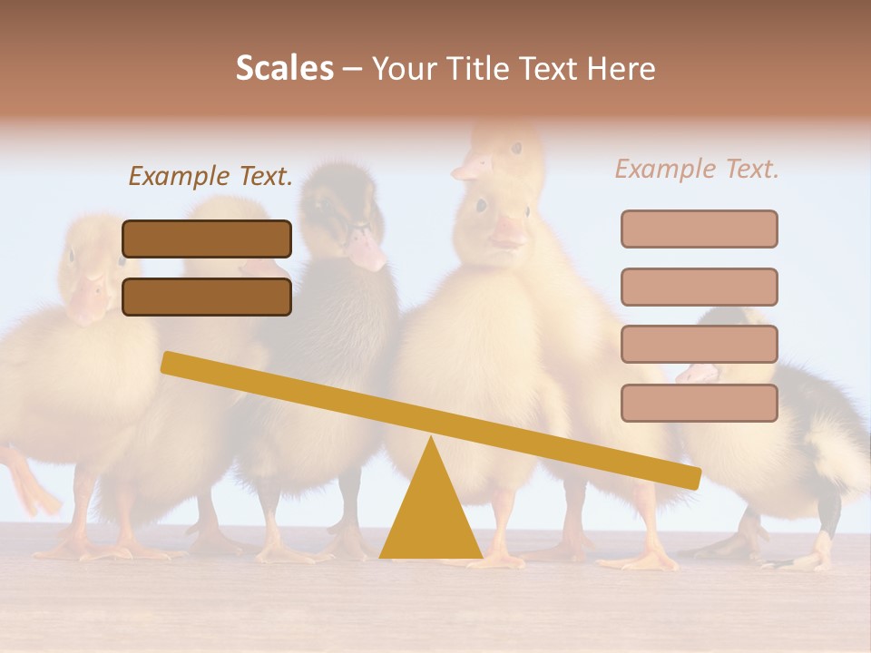 Egg Detail Few PowerPoint Template