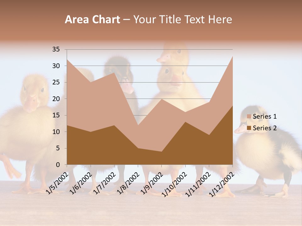 Egg Detail Few PowerPoint Template