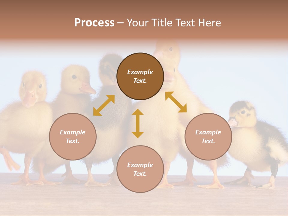 Egg Detail Few PowerPoint Template