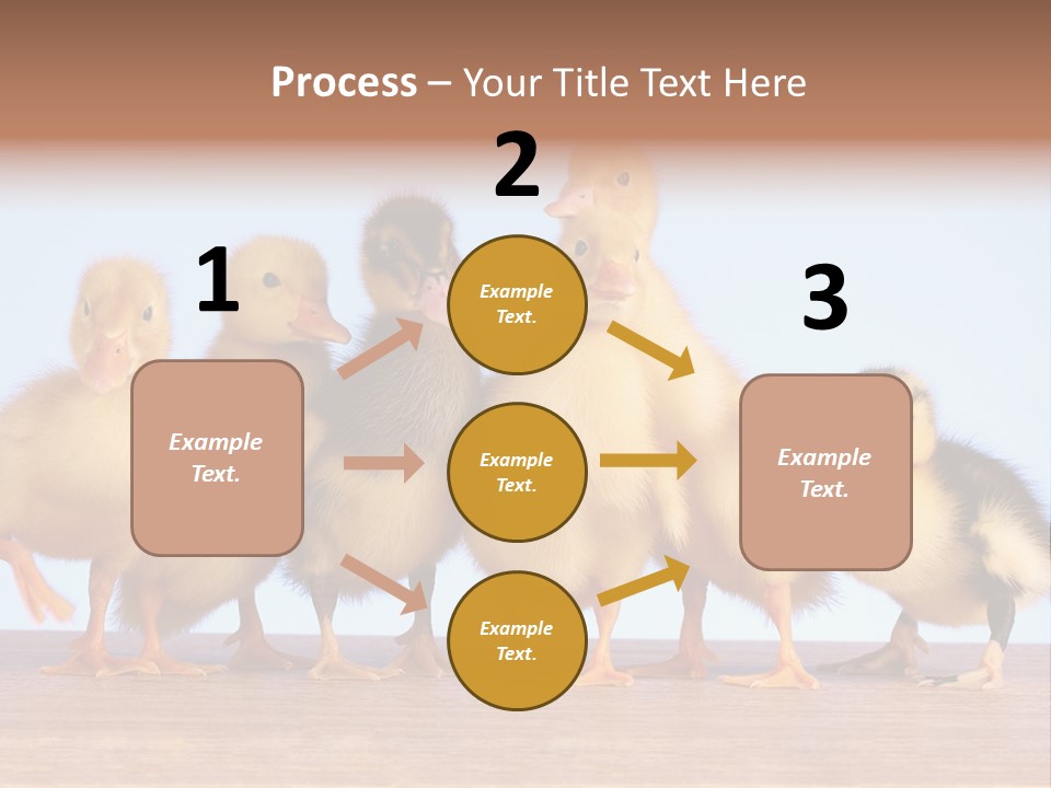 Egg Detail Few PowerPoint Template
