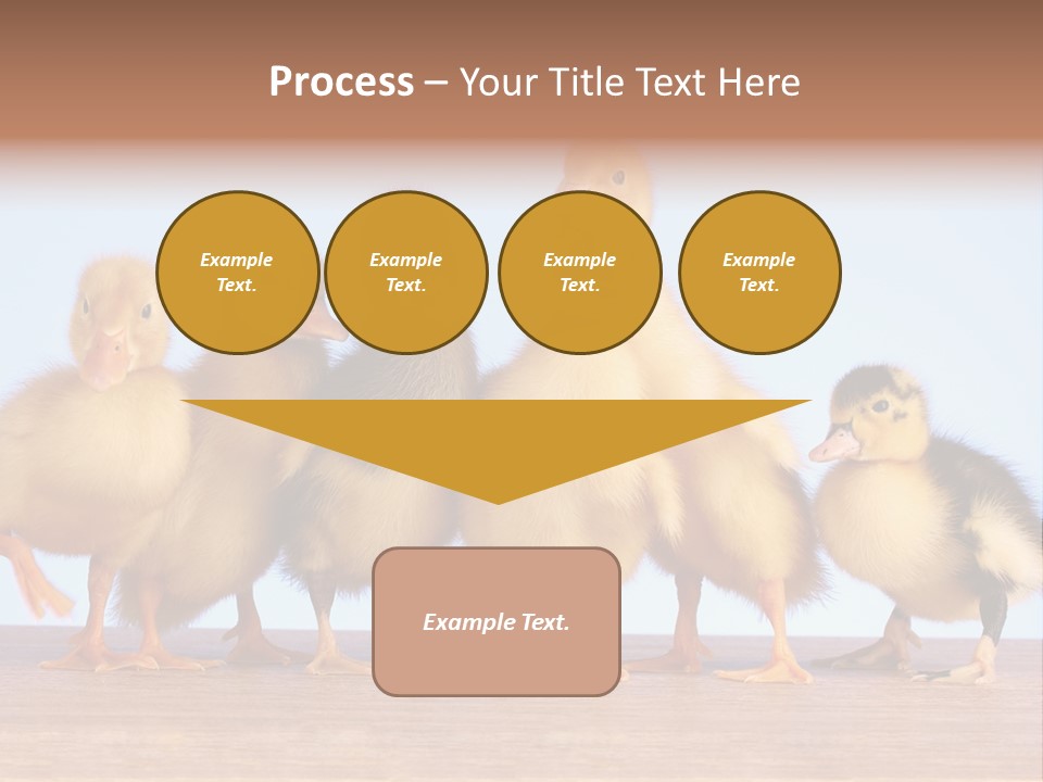 Egg Detail Few PowerPoint Template