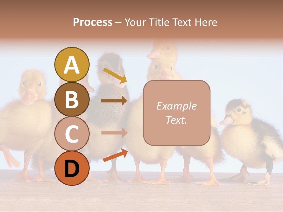 Egg Detail Few PowerPoint Template