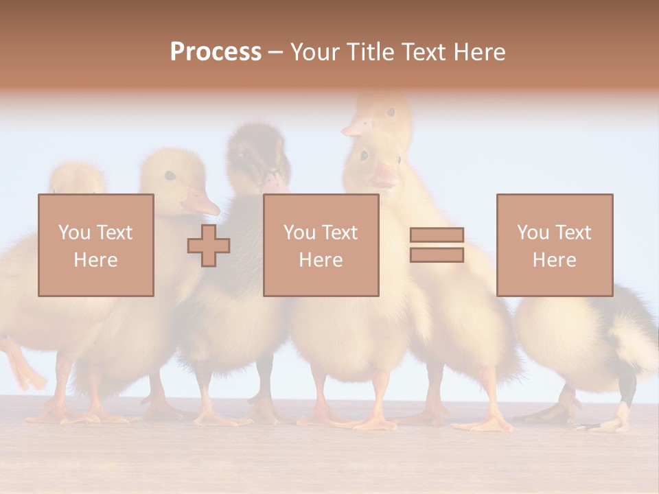 Egg Detail Few PowerPoint Template