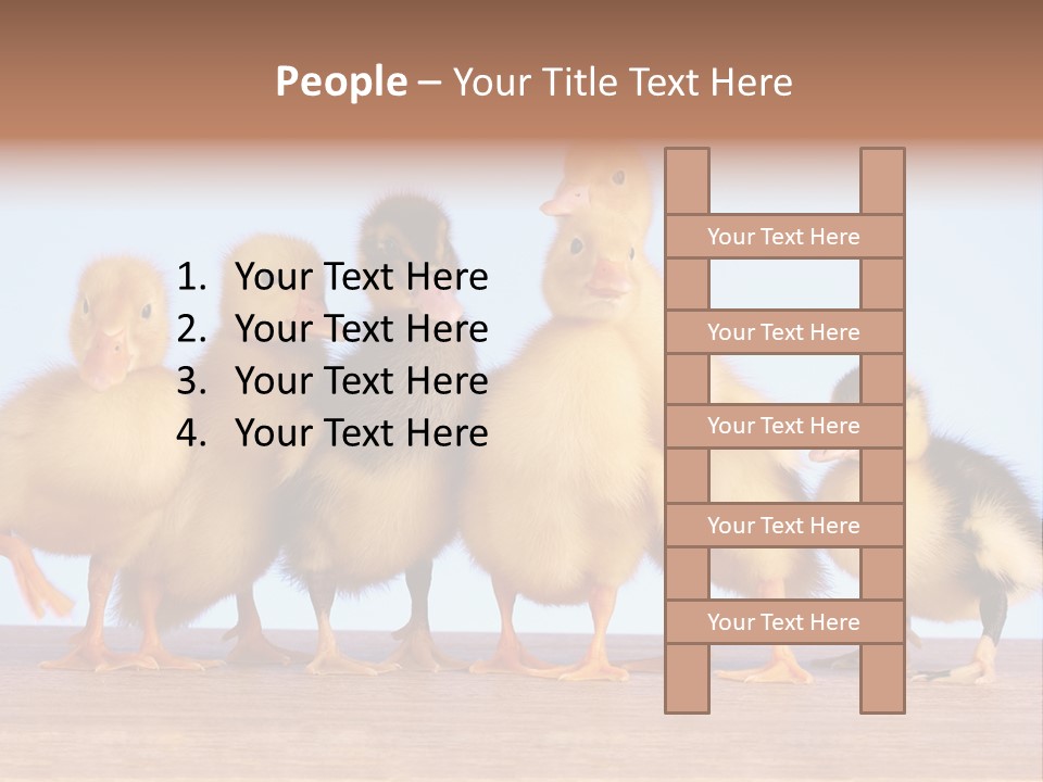 Egg Detail Few PowerPoint Template