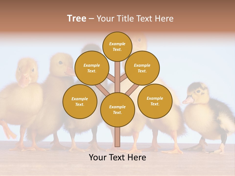 Egg Detail Few PowerPoint Template