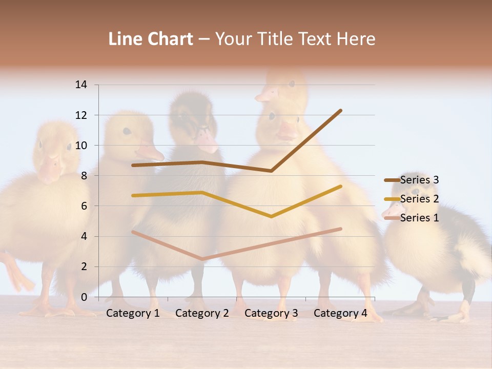 Egg Detail Few PowerPoint Template
