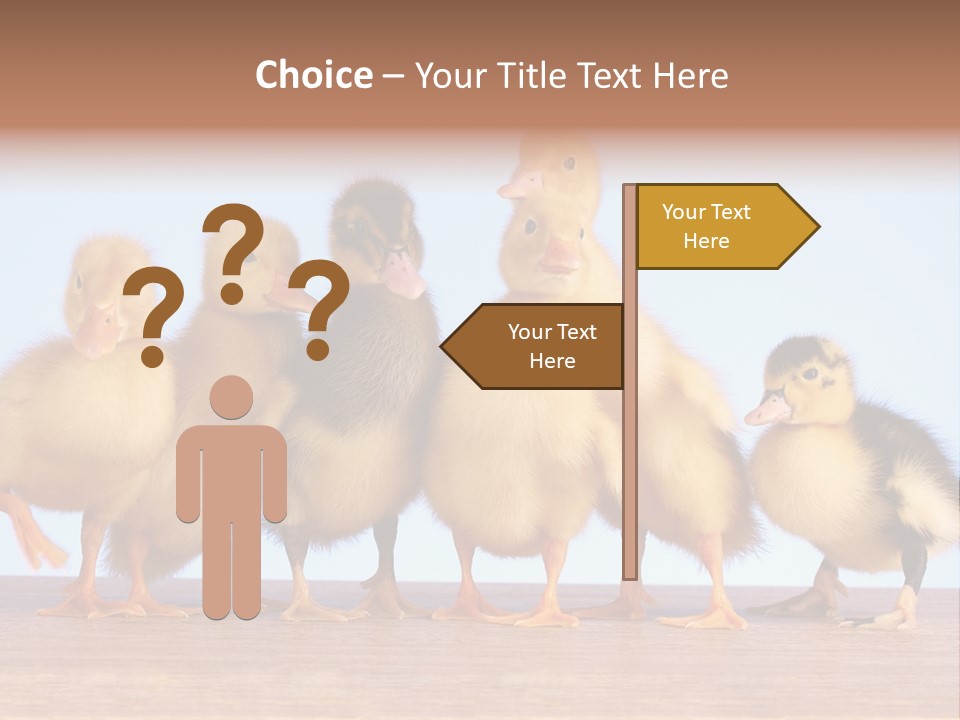 Egg Detail Few PowerPoint Template