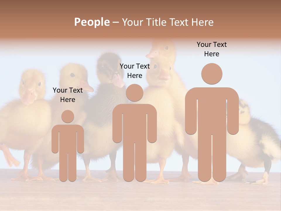 Egg Detail Few PowerPoint Template