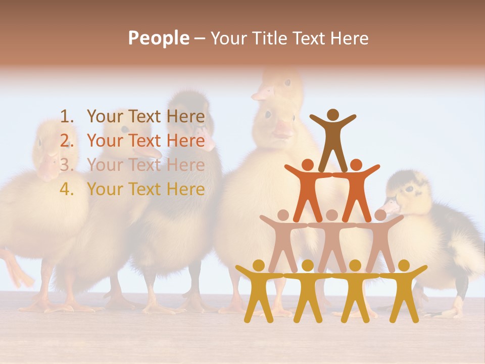 Egg Detail Few PowerPoint Template