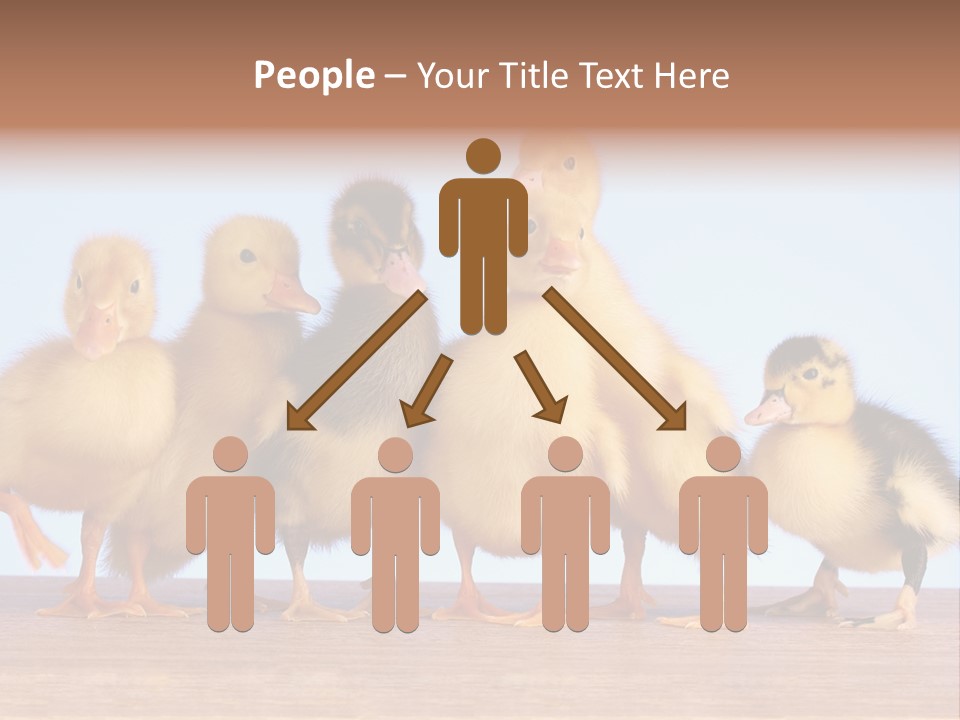 Egg Detail Few PowerPoint Template