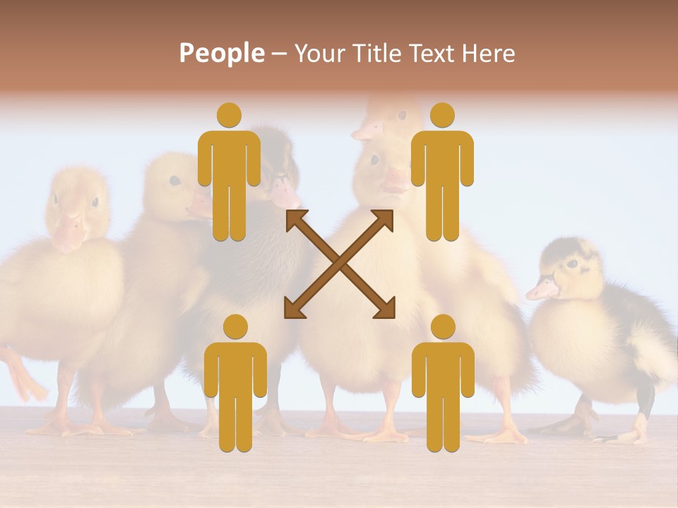 Egg Detail Few PowerPoint Template