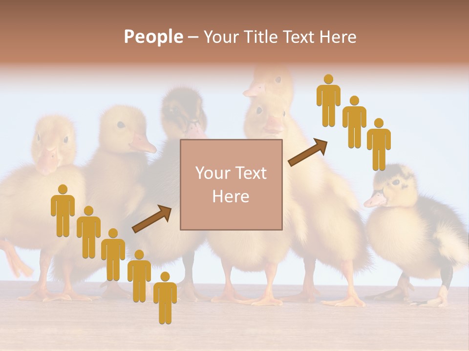 Egg Detail Few PowerPoint Template