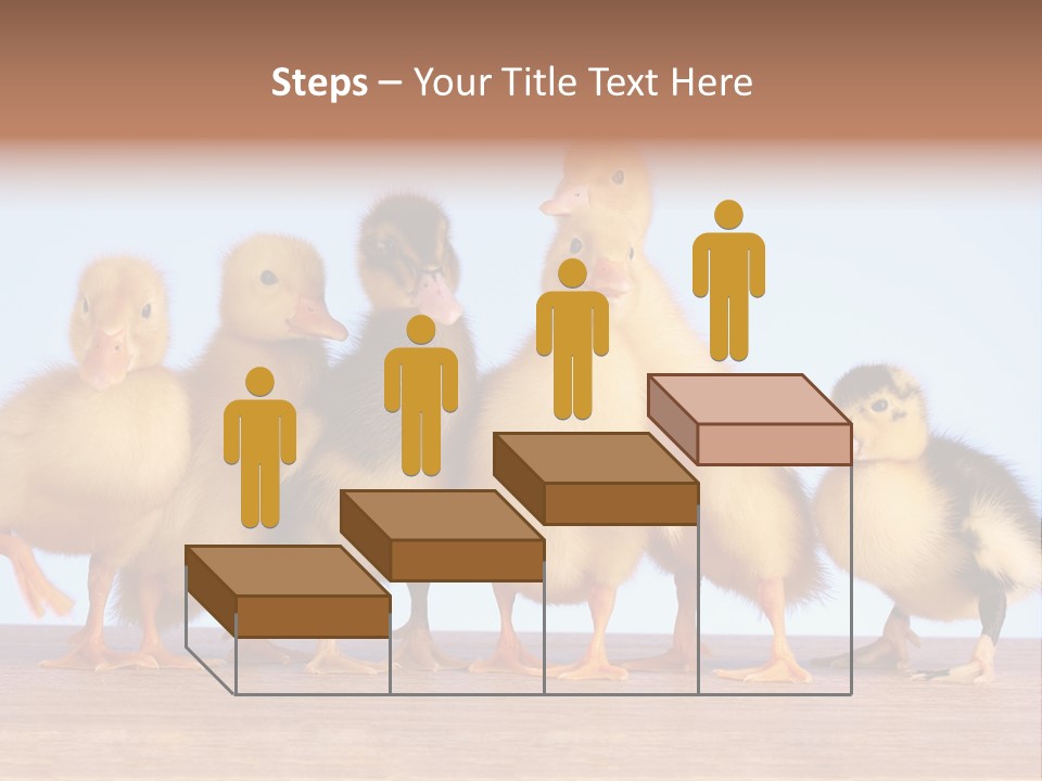 Egg Detail Few PowerPoint Template