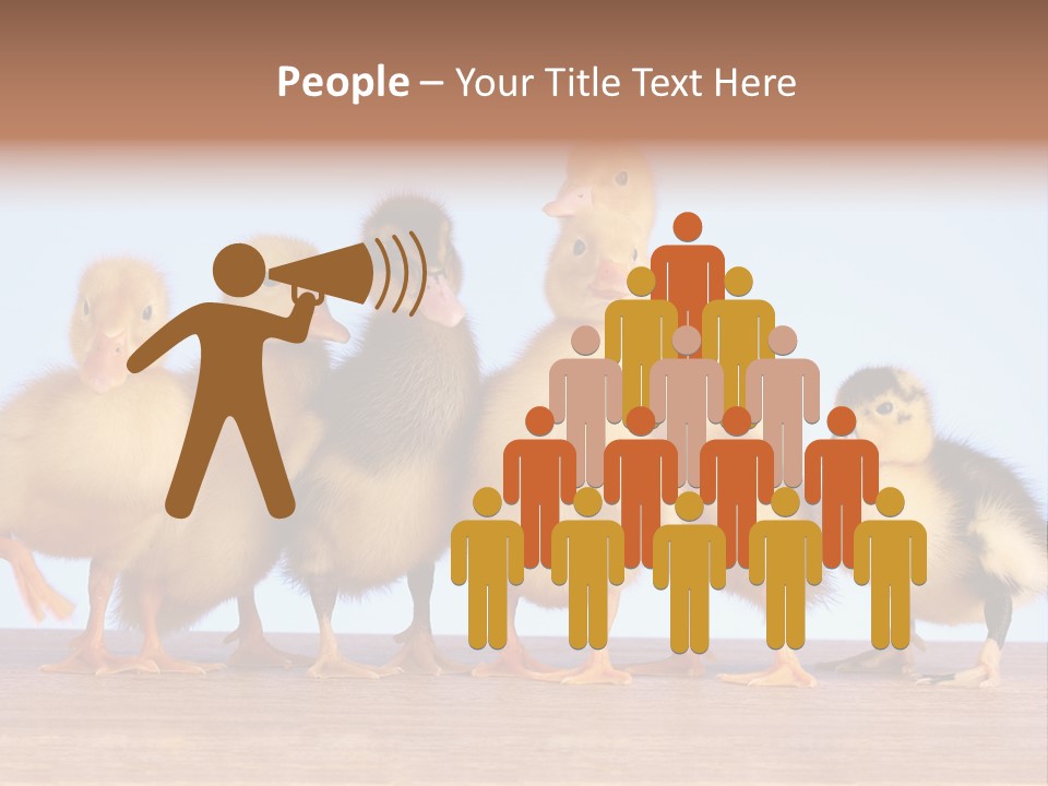 Egg Detail Few PowerPoint Template